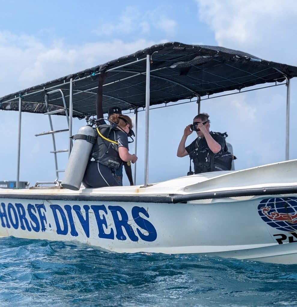Seahorse Diving boat