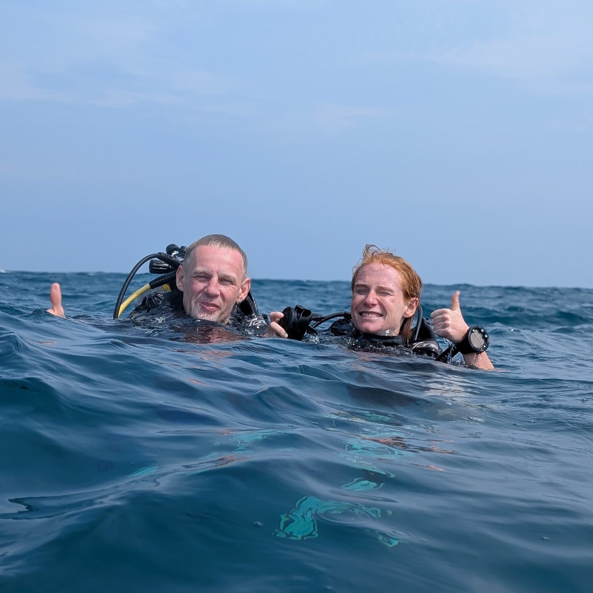 Seahorse Diving contact