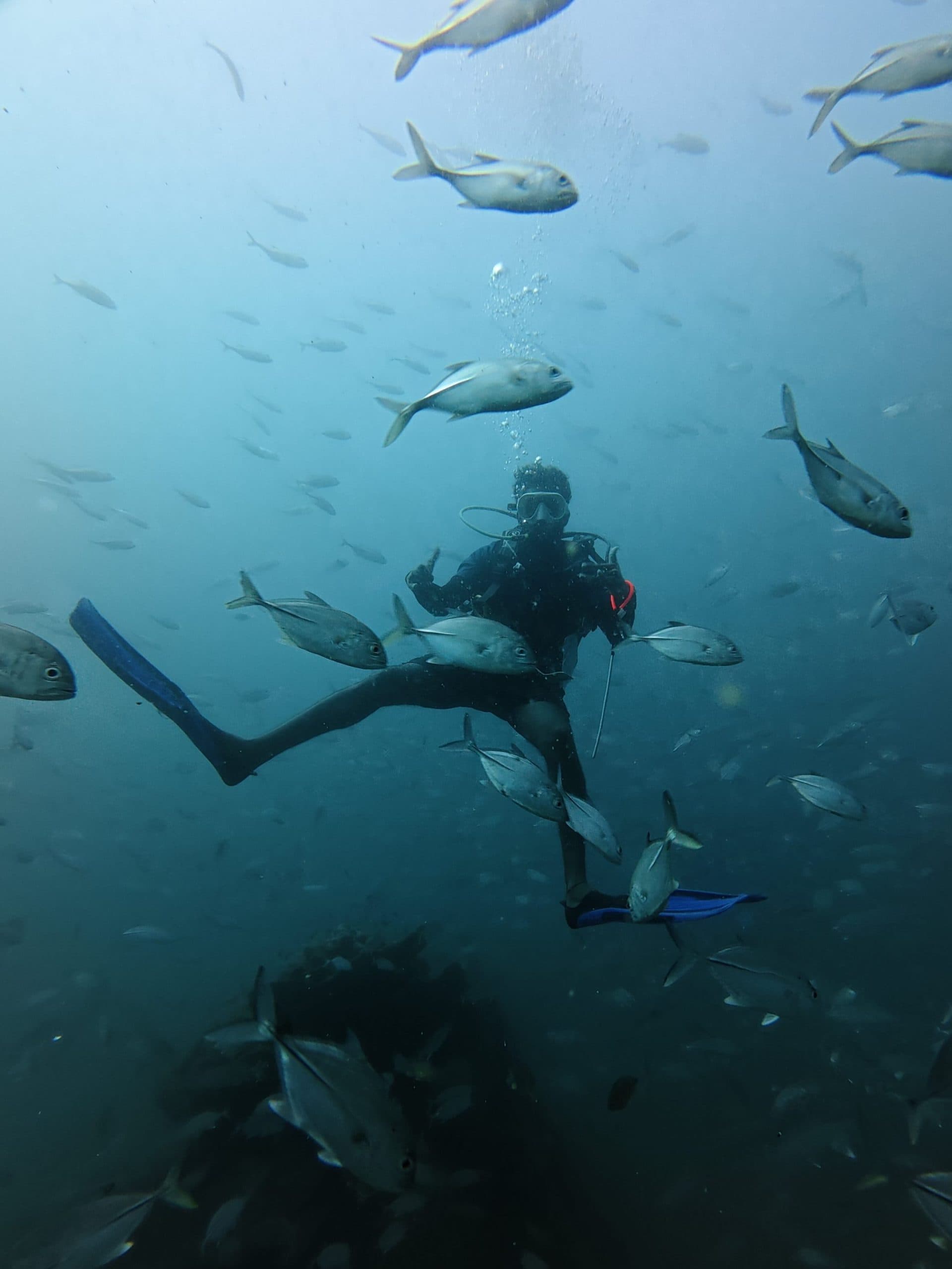 Diver exploring the reef