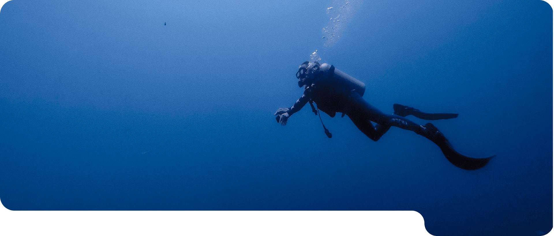 Scuba diver gliding over the ocean, Seahorse Diving hero image