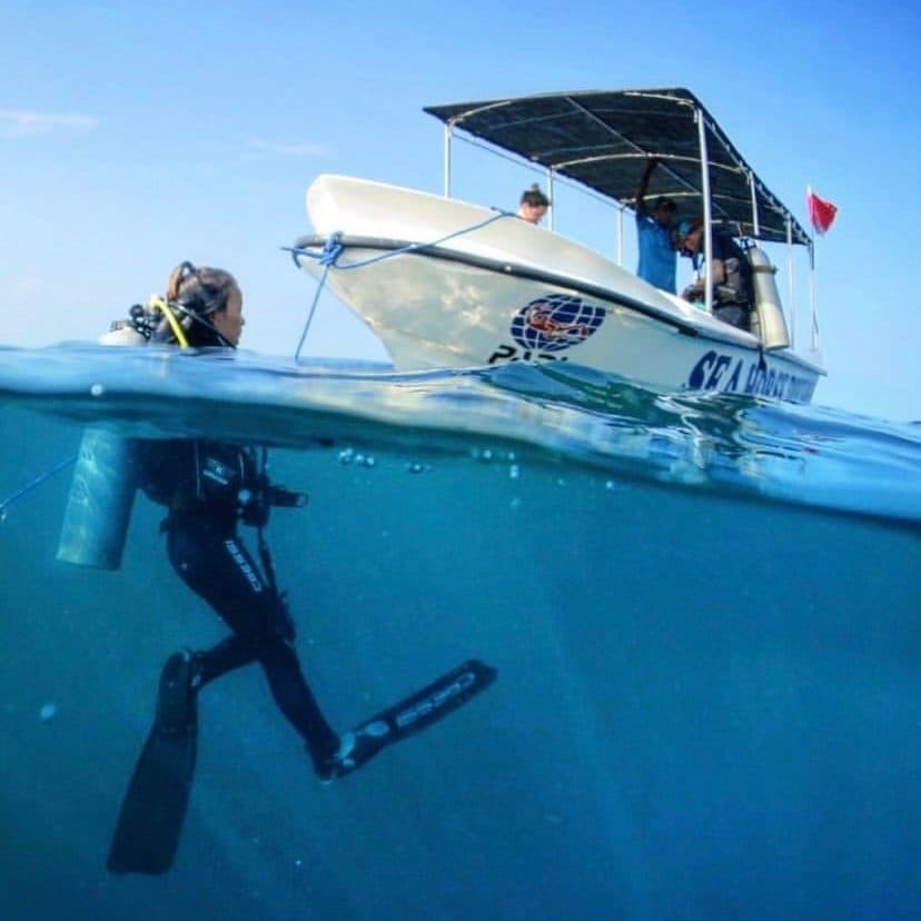 PADI Courses